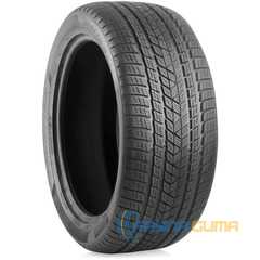 Купить Зимняя шина PIRELLI Scorpion Winter 255/40R19 100H