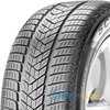 Купити Зимова шина PIRELLI Scorpion Winter 255/40R19 100H