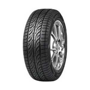 Купить Летняя шина AUTOGUARD SA602 195/65R15 91H