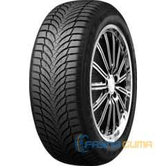 Купить Зимняя шина NEXEN Winguard Snow G WH2 205/55R16 91T