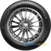 Купити Зимова шина NEXEN Winguard Snow G WH2 205/55R16 91T
