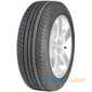 Купити Літня шина OVATION EcoVision vi682 205/65R15 94V