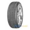 Купить Зимняя шина DEBICA FRIGO HP2 215/50R17 95V