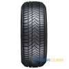 Купити Зимова шина SUNNY NW211 Winter-maX A1 205/50R17 93V