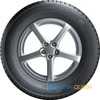 Купити Зимова шина GISLAVED Euro Frost 6 195/65R15 95T