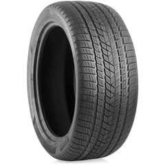 Купити Зимова шина PIRELLI Scorpion Winter 255/50R19 103H