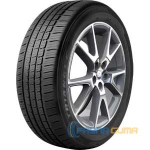 Купити Літня шина TRIANGLE AdvanteX TC101 215/50R17 95Y