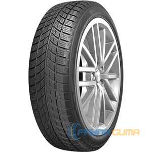 Купити Зимова шина DOUBLESTAR DW09 315/35R20 106T