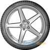 Купить Зимняя шина Nokian Tyres WR Snowproof P 205/55R17 95V XL