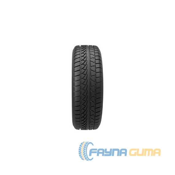 Купить Зимняя шина PETLAS SnowMaster W651 235/50R19 103V