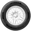 Купить Зимняя шина PETLAS SnowMaster W651 235/50R19 103V