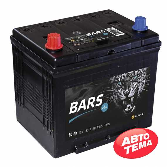 Купити Акумулятор BARS ASIA 6СТ-65 R Plus (пт 560)(обслуг)