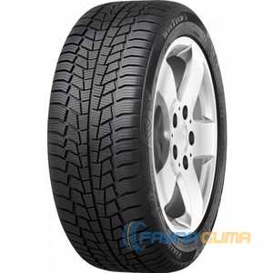 Купити Зимова шина VIKING WinTech 215/70R16 100H