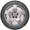 Купить Зимняя шина GOODYEAR UltraGrip Performance Plus 255/50R20 109H