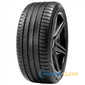 Купить Летняя шина CST Adreno H/P Sport AD-R8 235/55R18 100W