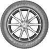 Купить Зимняя шина DUNLOP Winter Sport 5 SUV 255/50R20 109V XL
