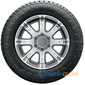 Всесезонная шина MICHELIN Agilis CrossClimate - 