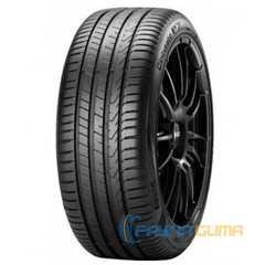 Купить Летняя шина PIRELLI Cinturato P7 P7C2 205/50R17 89H