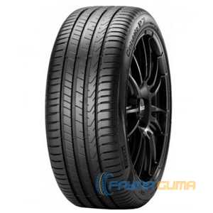 Купить Летняя шина PIRELLI Cinturato P7 P7C2 205/50R17 89H