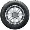 Купити Всесезонна шина MICHELIN Agilis CrossClimate 215/60R17C 109/107T