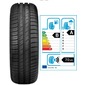 Летняя шина GOODYEAR EfficientGrip Performance - 