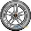 Купити Зимова шина CONTINENTAL WinterContact TS870P 225/50R17 98H