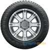 Купити Всесезонна шина MICHELIN Agilis CrossClimate 225/55R17C 109H
