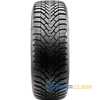 Купити Зимова шина CST Tires Medallion Winter WCP1 205/50R17 93V