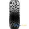 Купити Зимова шина CST Tires Medallion Winter WCP1 195/65R15 91T