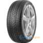 Купити Зимова шина ARIVO WINMASTER PROX ARW5 275/40R19 105V XL