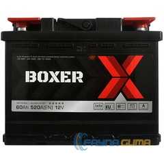 Купити Аккумулятор BOXER (555 80) (L2) 60Ah 520A R+