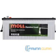 Купить Аккумулятор MOLL Truck SHD 180Ah 1000A L+ (DIN B)