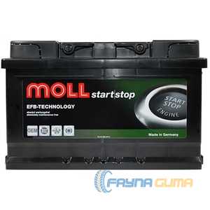 Купить Аккумулятор MOLL EFB 6СТ-74 R+ (L3)