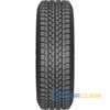 Купити Зимова шина SAVA Eskimo LT 185/80R14C 104/102R