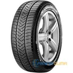 Купити Зимова шина PIRELLI Scorpion Winter 235/55R19 101T