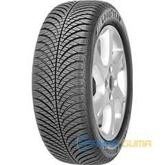 Купить Всесезонная шина GOODYEAR Vector 4seasons G3 215/55 R17 98W XL