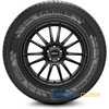 Купити Літня шина PIRELLI Carrier 195/70R15C 104/102R