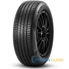 Купити Лiтня шина PIRELLI Scorpion 255/45R19 100V