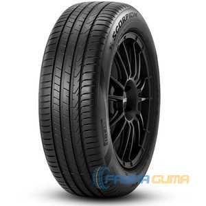 Купити Лiтня шина PIRELLI Scorpion 255/40R20 101V