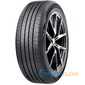 Купить Летняя шина SUNWIDE Conquest 255/55R19 103V
