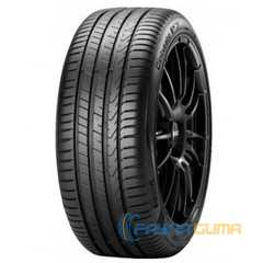 Купити Лiтня шина PIRELLI Cinturato P7 P7C2 255/45R19 100T