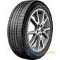 Купити Літня шина TRIANGLE TC101 245/50R17 99Y