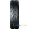 Купити Зимова шина GISLAVED Euro Frost 6 215/65R16 98T