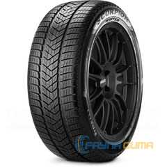 Купити Зимова шина PIRELLI Scorpion WInter 3 225/55R19 103V XL